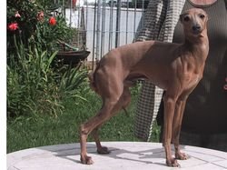 Galería de Talata E’Kazan