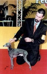 Galería de Vertragus Nesso