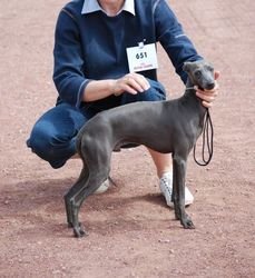 Galería de Py’s Kesell