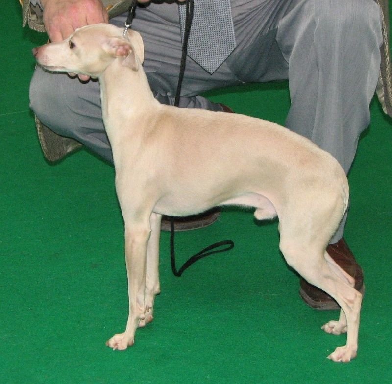 Galería de Brin D’Amour Du Domaine De Chanteloup