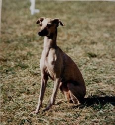 Galería de Jolie Mome Des Trois Pyramides