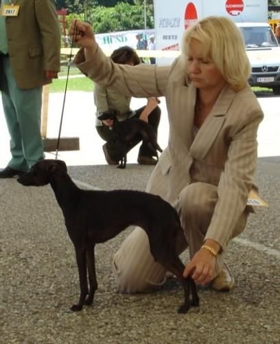 Galería de Eledi Grace Diadem