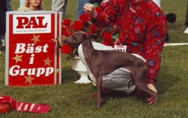 Galería de Sobers Tindra