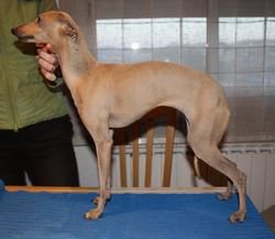 Galería de Blaylock Nina Ricci