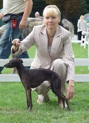 Galería de Eledi Grace Diadem