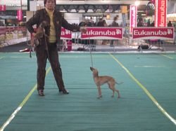 Galería de Ti Amo Des Princes De Kazan