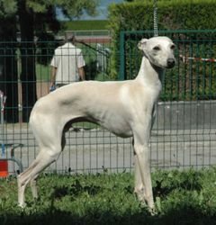 Galería de Bel Aghios Minos Du Domaine De Chanteloup