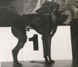 Galería de Nuage Noir Du Manoir Des Ombreuses