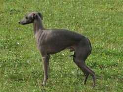 Galería de As De Coeur Du Domaine De Chanteloup