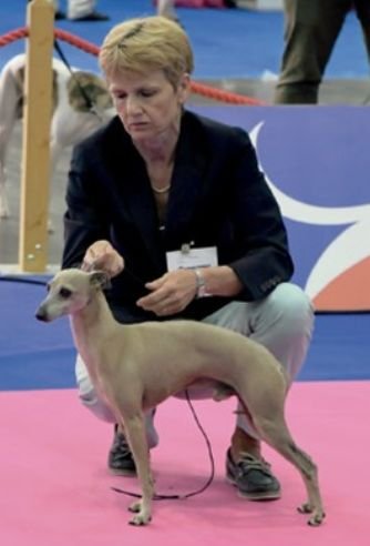 Galería de Fairy Tale Du Domaine De Chanteloup