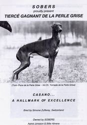 Galería de Tiercé Gagnant De La Perle Grise