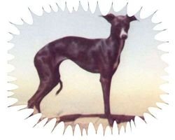 Galería de Canta Libre Just An Inkling