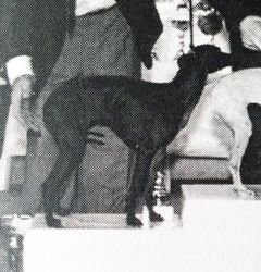 Galería de Nymphea Du Domaine De Chanteloup