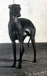 Galería de Lucky Luciano Des Trois Pyramides