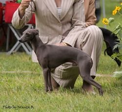 Galería de Eledi Grace Napoleon