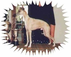 Galería de Canta Libre Here Comes The Sun