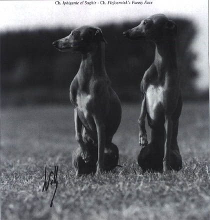 Galería de Iphigenie El-Saghir