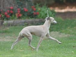 Galería de Fairy Tale Du Domaine De Chanteloup