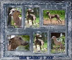 Galería de Dark Legend’s Joop