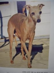 Galería de Joy De La Roche Hue