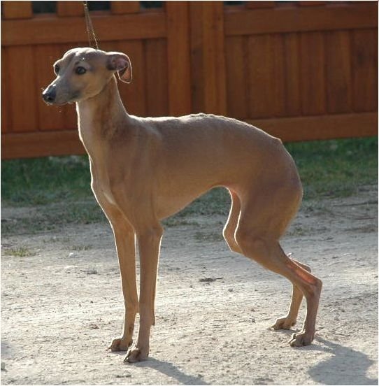 Galería de Anthinea Du Domaine De Chanteloup