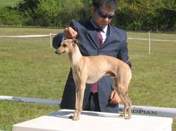 Galería de Roméo Des Princes De Kazan