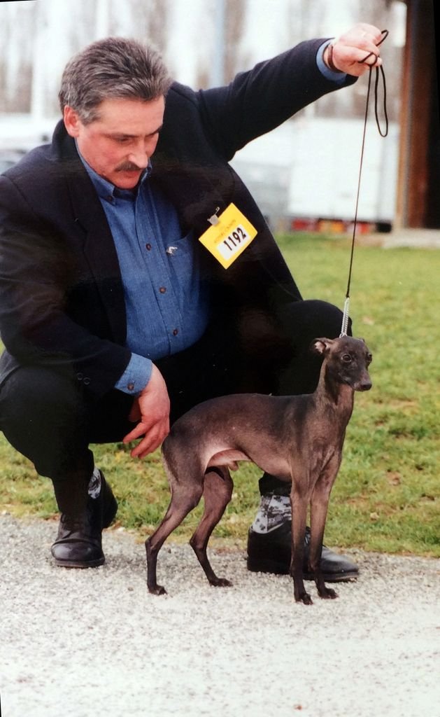 Galería de Lucky Luciano Des Trois Pyramides
