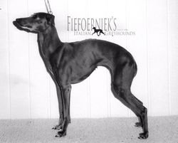 Galería de Iphigenie El-Saghir