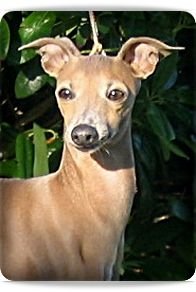 Galería de Canta Libre The Sundance Kid