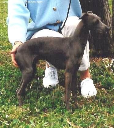 Galería de Oscar Du Domaine De Chanteloup