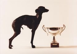 Galería de Aquarella Des Trois Pyramides