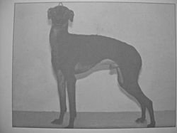 Galería de Ulrik Du Vallon De La Renardiere