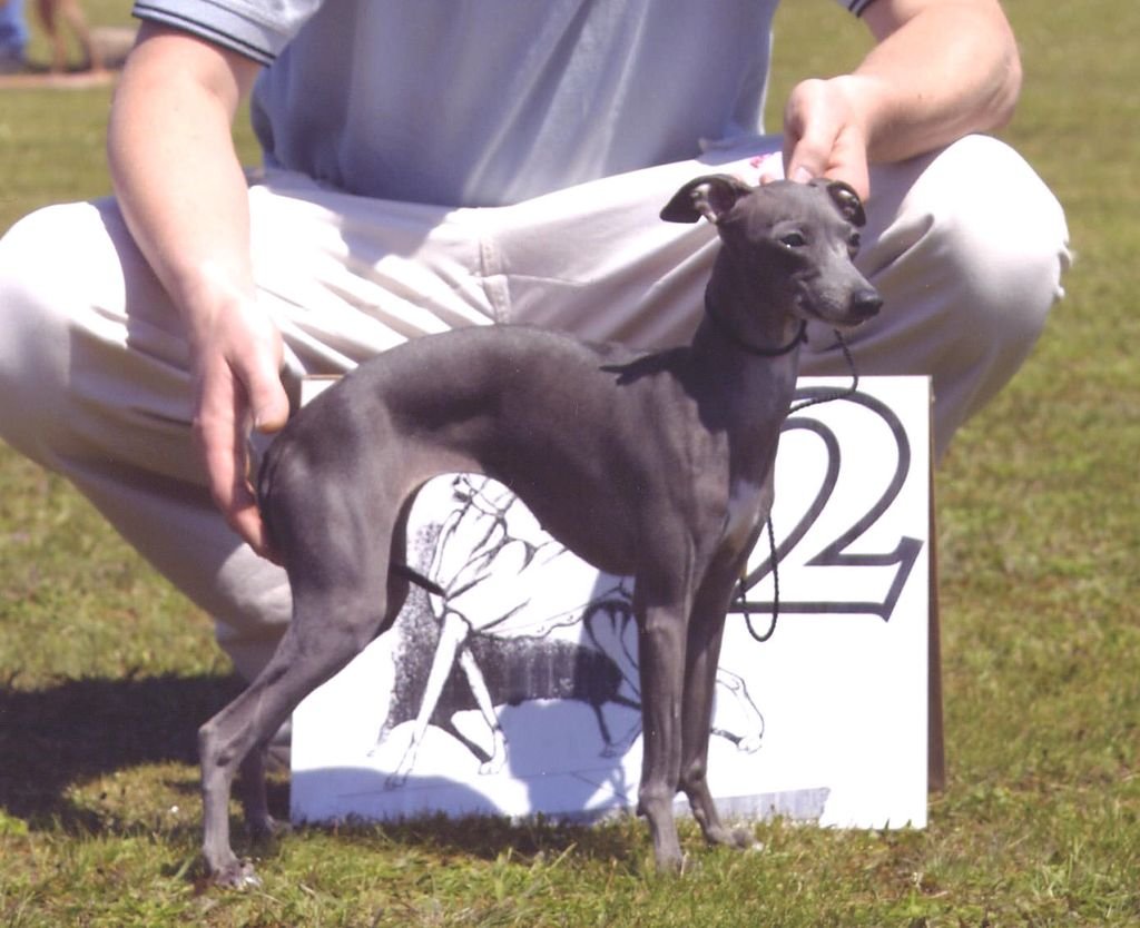 Galería de Dark Legend’s Kinnara