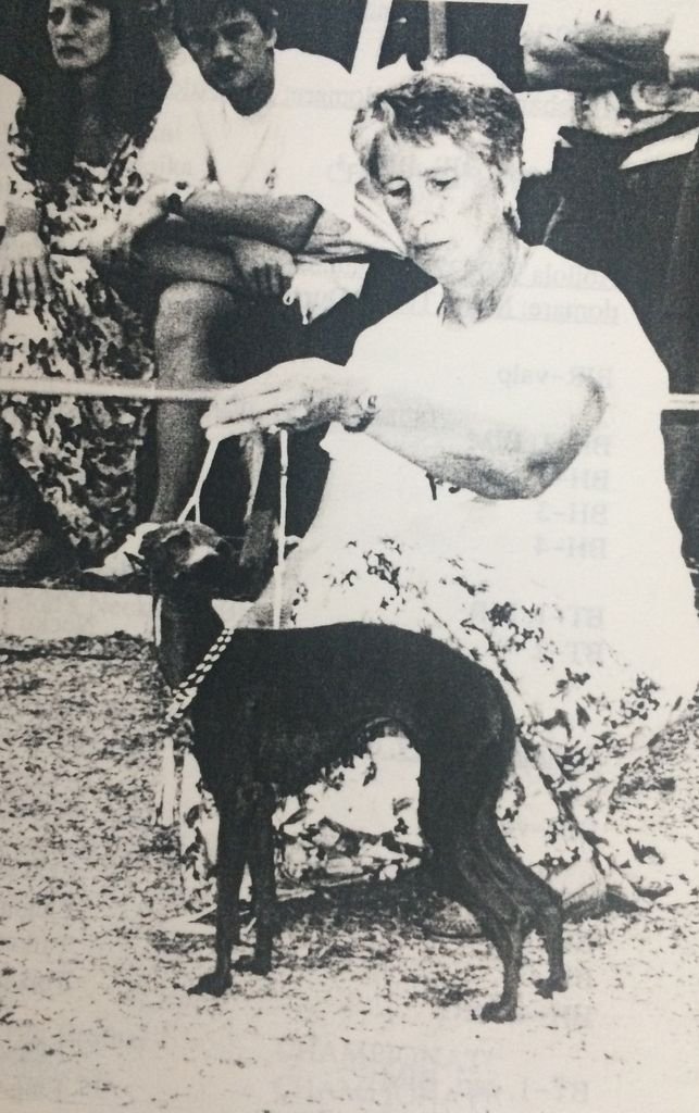 Galería de Taikatytön Optima