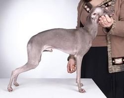 Galería de Eledi Grace Rubiano