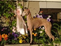 Galería de Movado B’Doria