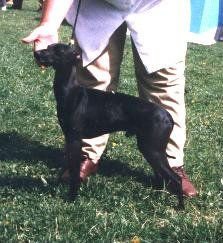 Galería de Fidelio Du Manoir Des Ombreuses