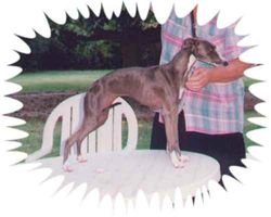 Galería de Canta Libre Finally Phoebe