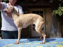 Galería de Alfa Nouméa Des Princes De Kazan