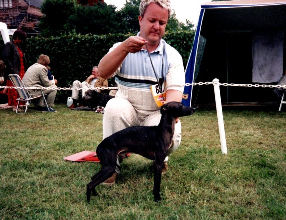 Galería de Sobers Bravissimo