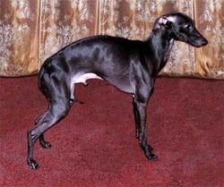 Galería de Petit Amour Du Domaine De Chanteloup