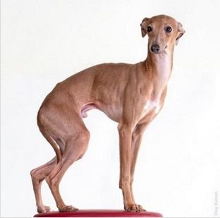 Galería de In-Extremis Du Domaine De Chanteloup