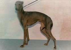 Galería de America Du Puits À Loups