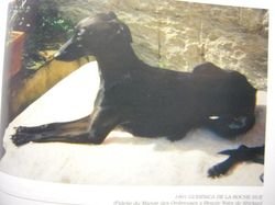 Galería de Guernica De La Roche Hue