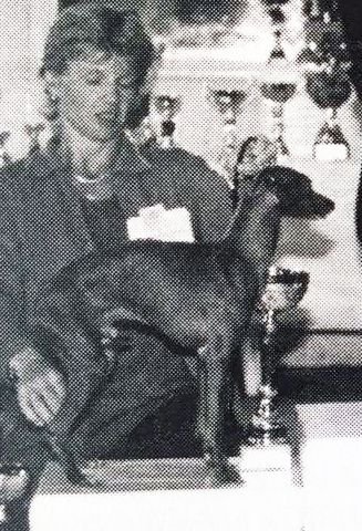 Galería de Oscar Du Domaine De Chanteloup