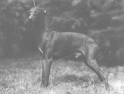 Galería de Un Page Du Manoir Des Ombreuses
