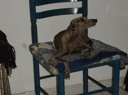 Galería de Nougatine De La Roche Hue