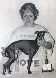 Galería de Orion’s Papillon Bleu