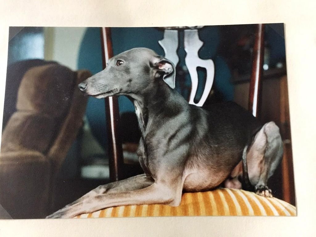 Galería de Kafiristan’s Oberon