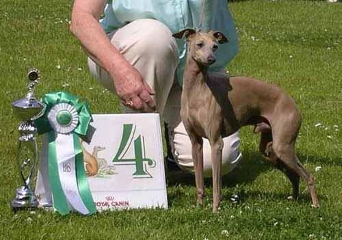 Galería de Movado Ric Rosso